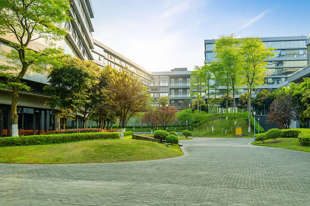 Trees within an office building area