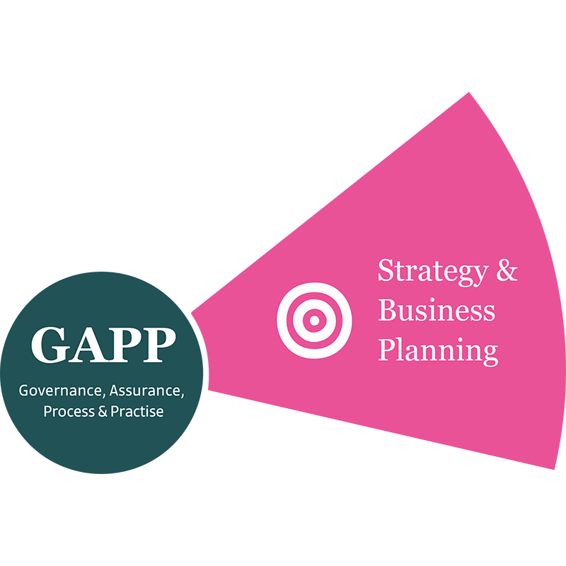 Strategy & Business Planning
